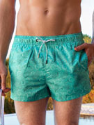 шорты пляжные мужские Doreanse 3840 мятно-зелёного цвета