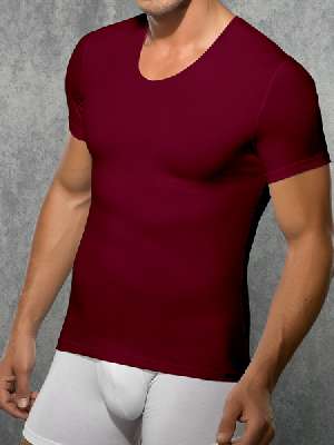 футболка мужская Doreanse Essentials 2855
