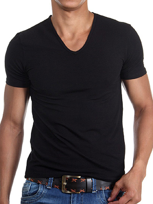 футболка мужская Doreanse Cotton Basic 2810