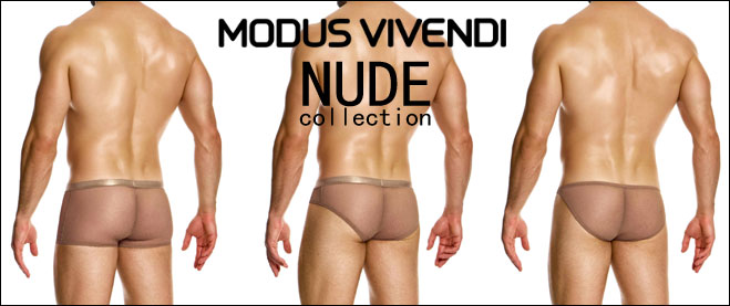 Modus Vivendi