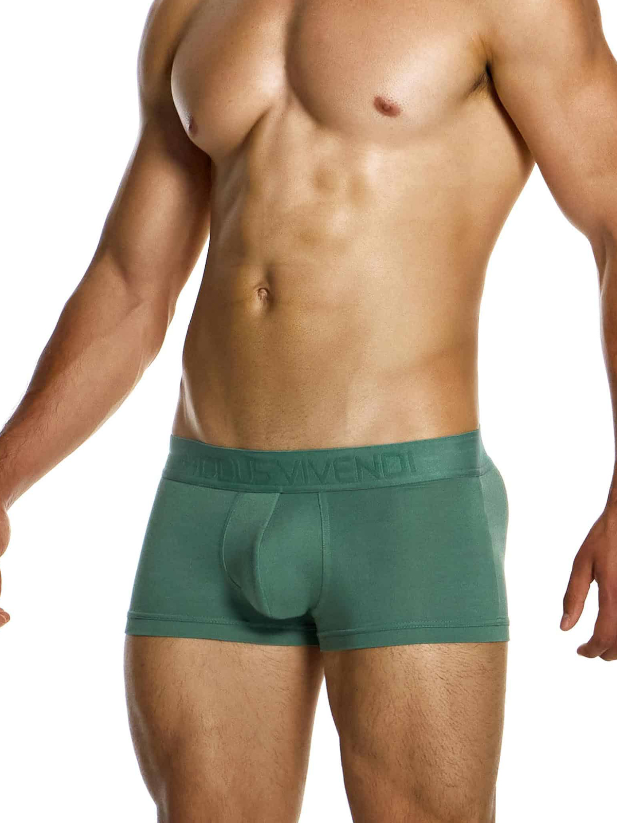 Трусы-боксеры мужские Modus Vivendi 13422 цвета хаки