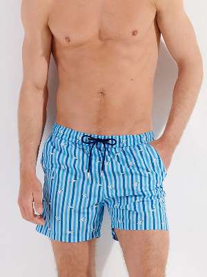 Пляжные шорты мужские HOM 40-2779 голубые в вертикальную полоску